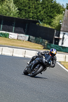Middle Group Black Bikes